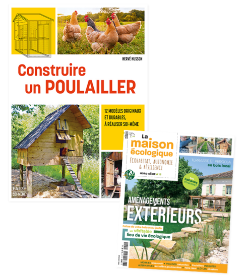 poule poule
